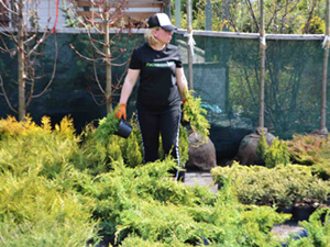 Сотрудник Татьяна Киржаева - фото 2