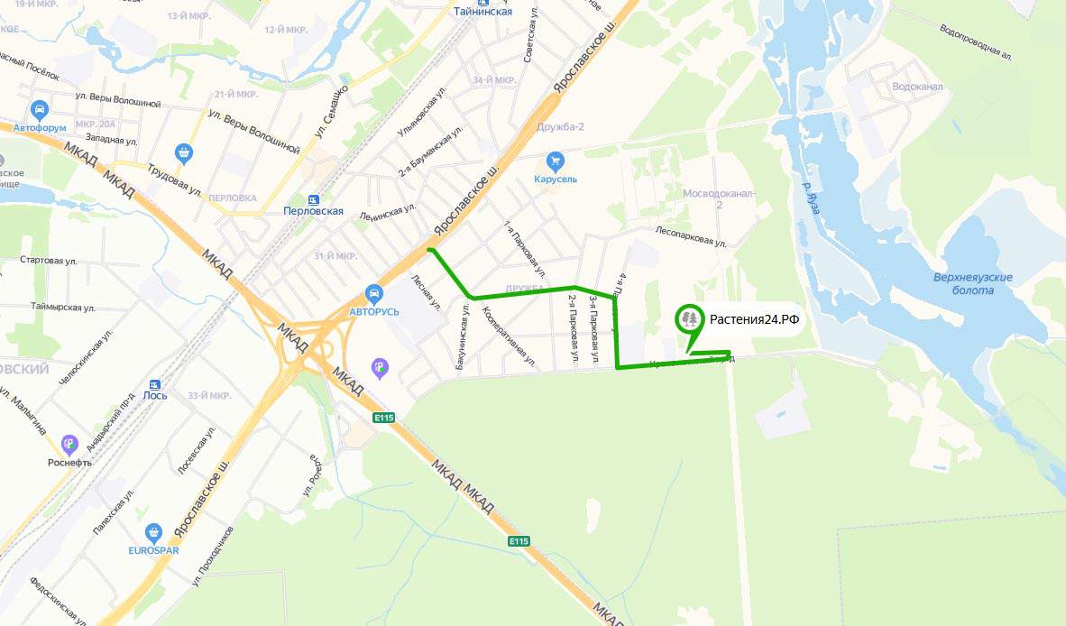 Наш адрес для Москвы и МО